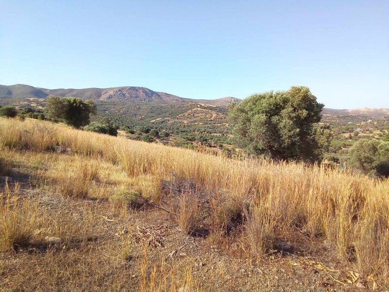 Big Plot for sale in Sivas South Crete