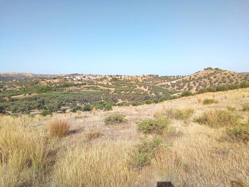 Big Plot for sale in Sivas South Crete