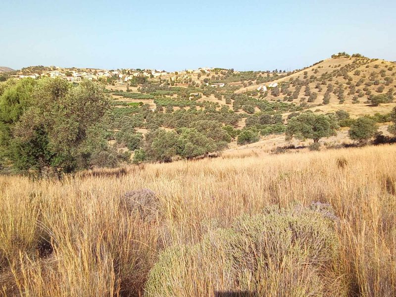 Big Plot for sale in Sivas South Crete