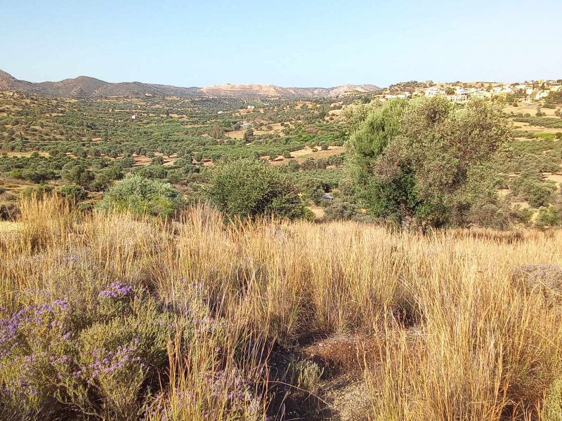 Big Plot for sale in Sivas South Crete