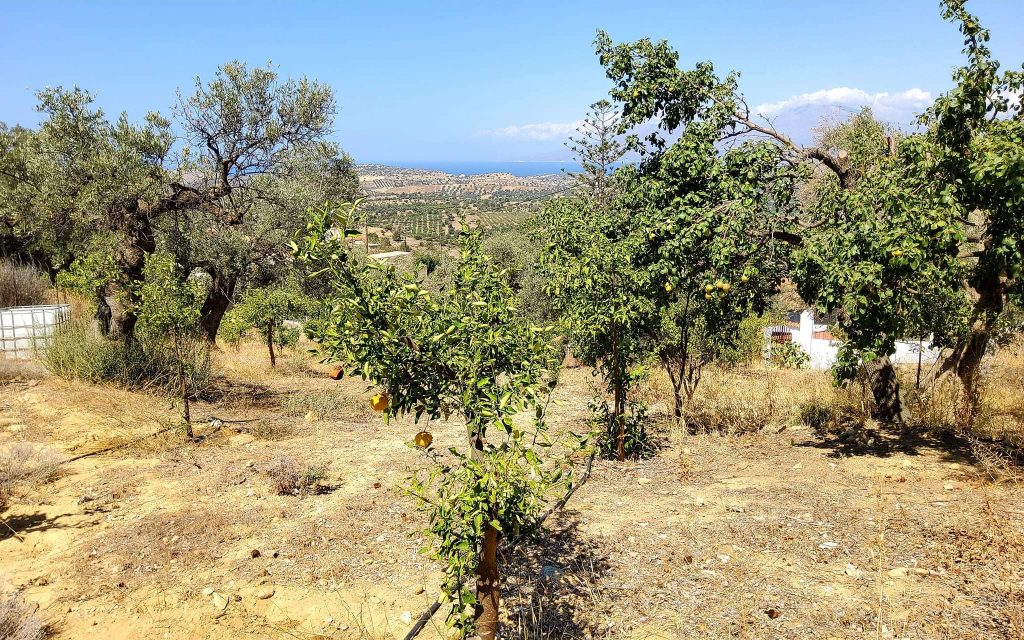 Plot for sale with sea view inside Listaros