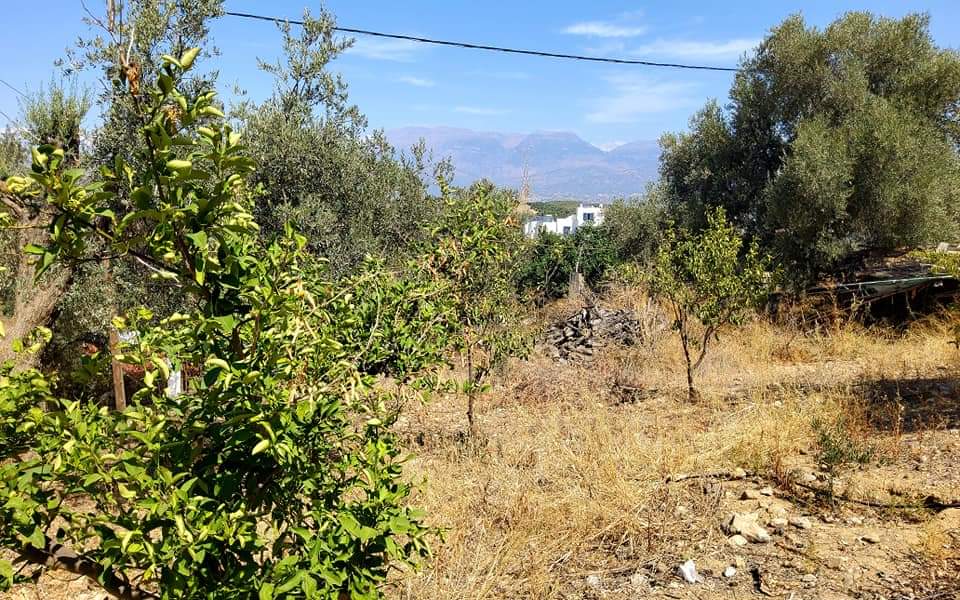 Plot for sale with sea view inside Listaros