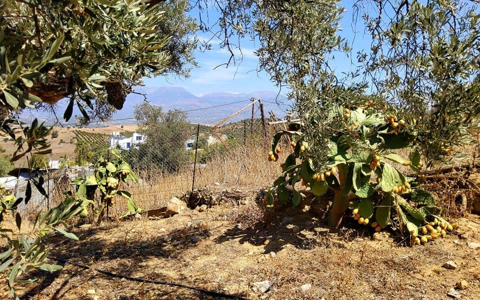 Plot for sale with sea view inside Listaros