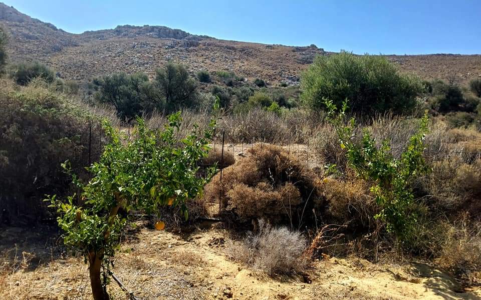 Plot for sale with sea view inside Listaros