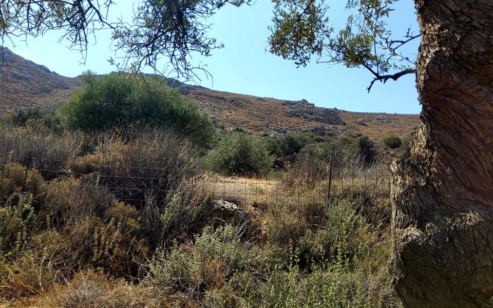 Plot for sale with sea view inside Listaros