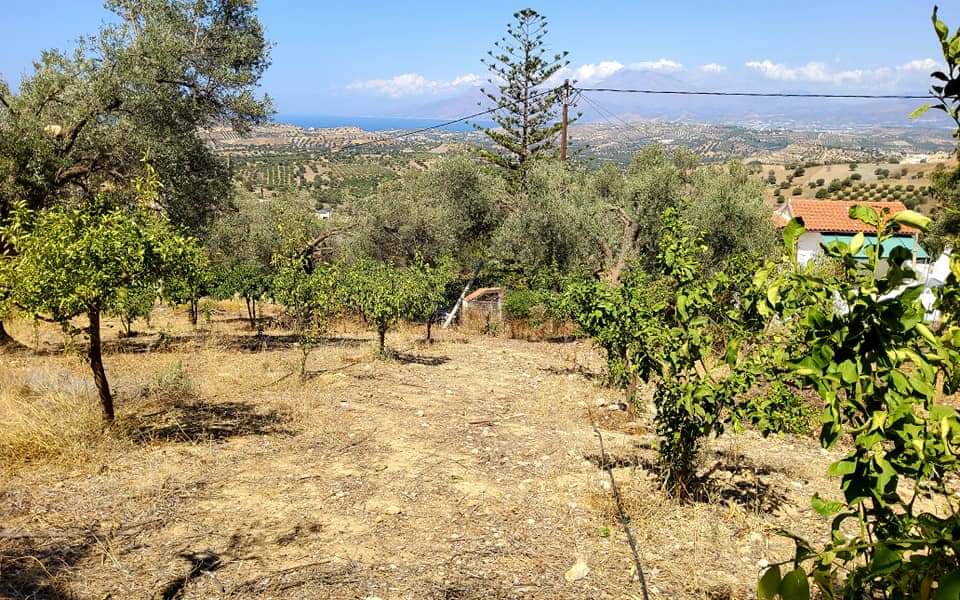 Plot for sale with sea view inside Listaros