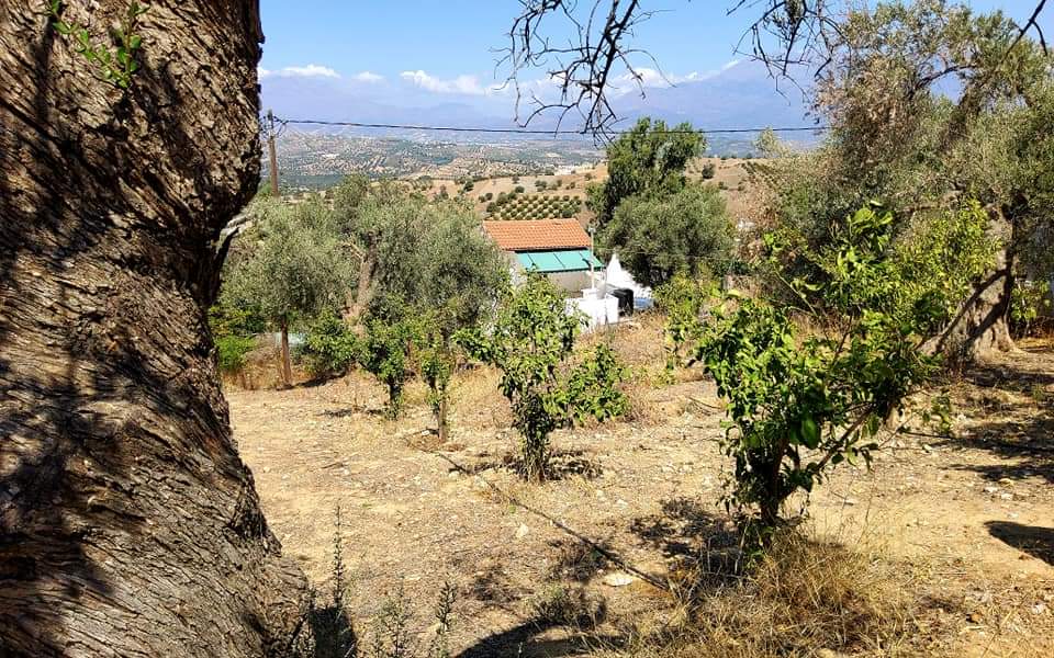 Plot for sale with sea view inside Listaros