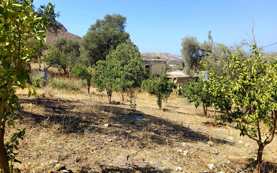 Plot for sale with sea view inside Listaros