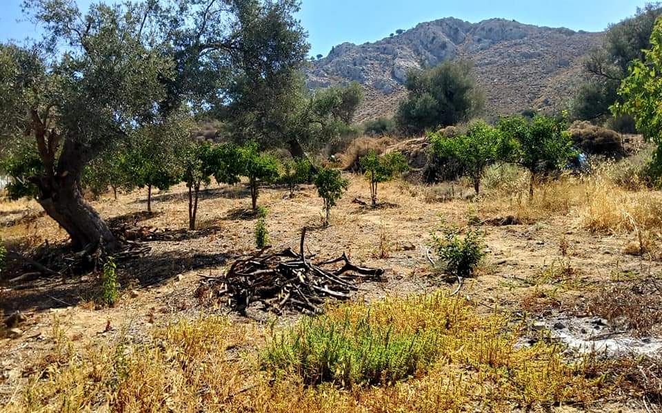 Plot for sale with sea view inside Listaros