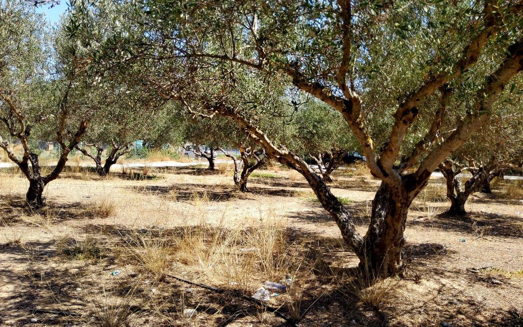 Plot for sale in Mires