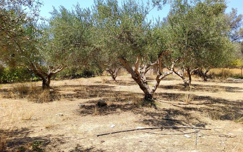 Plot for sale in Mires