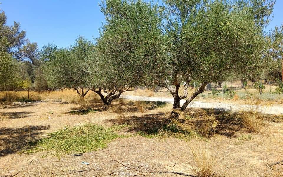 Plot for sale in Mires