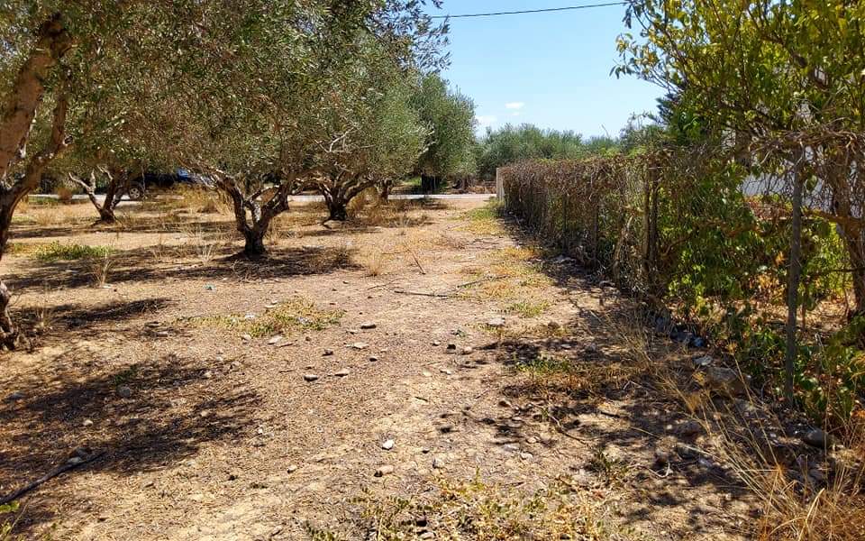 Plot for sale in Mires