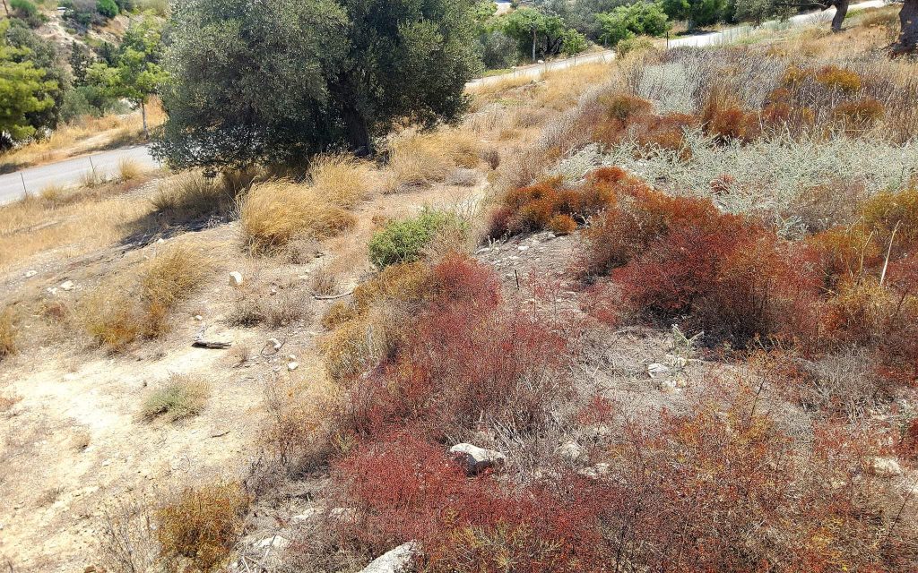 Plot for sale inside Kamilari South Crete No1