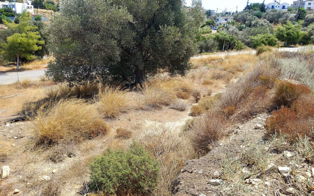 Plot for sale inside Kamilari South Crete No1