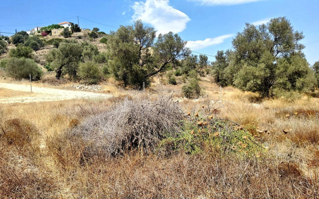 Plot for sale inside Kamilari South Crete No1