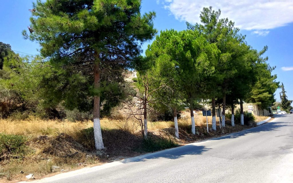 Plot for sale inside Kamilari South Crete No2