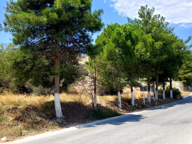 Plot for sale inside Kamilari South Crete No2