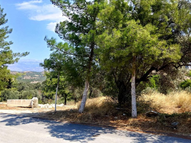 Plot for sale inside Kamilari South Crete No2