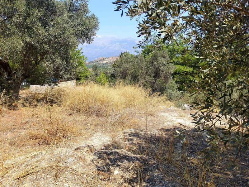 Plot for sale inside Kamilari South Crete No2