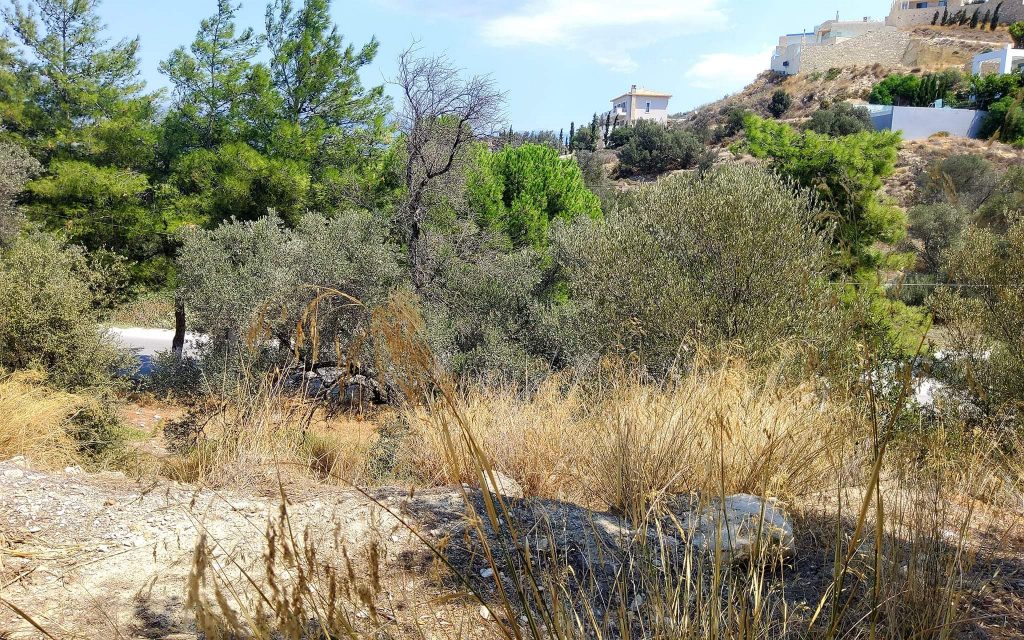 Plot for sale inside Kamilari South Crete No2