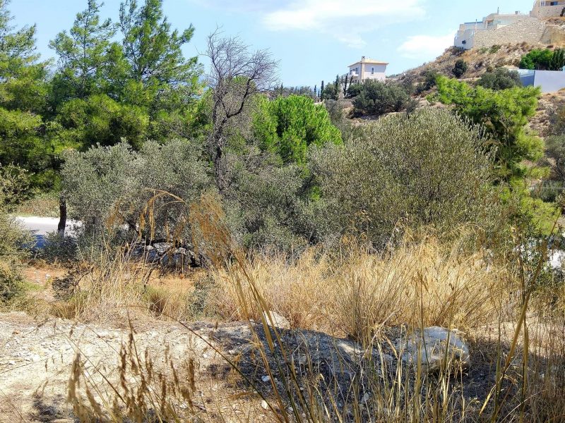 Plot for sale inside Kamilari South Crete No2