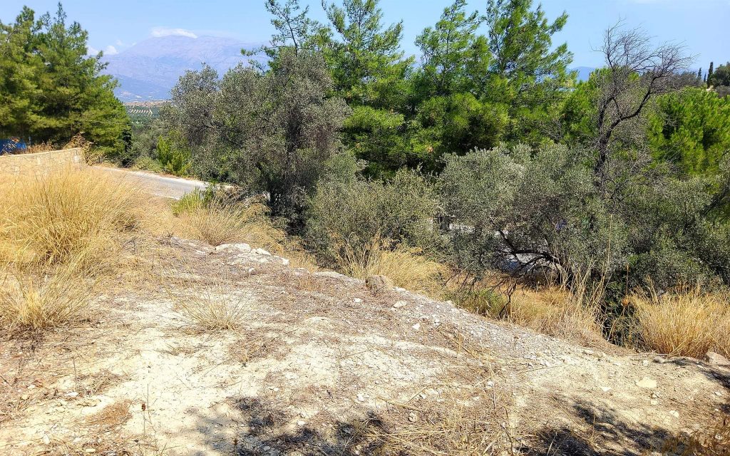 Plot for sale inside Kamilari South Crete No2
