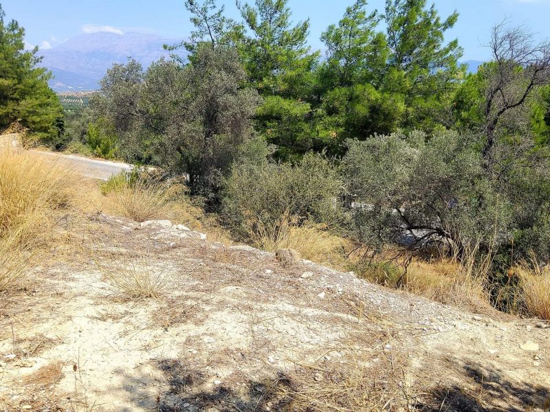 Plot for sale inside Kamilari South Crete No2