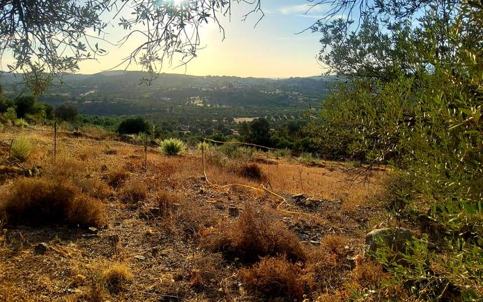 Plot for sale close to Kouses and Sivas