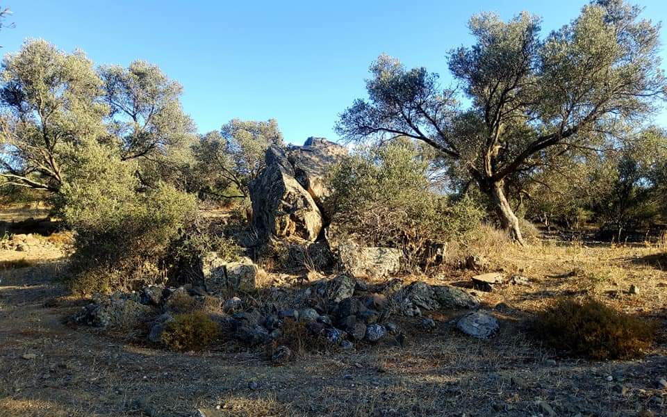 Plot for sale close to Kouses and Sivas