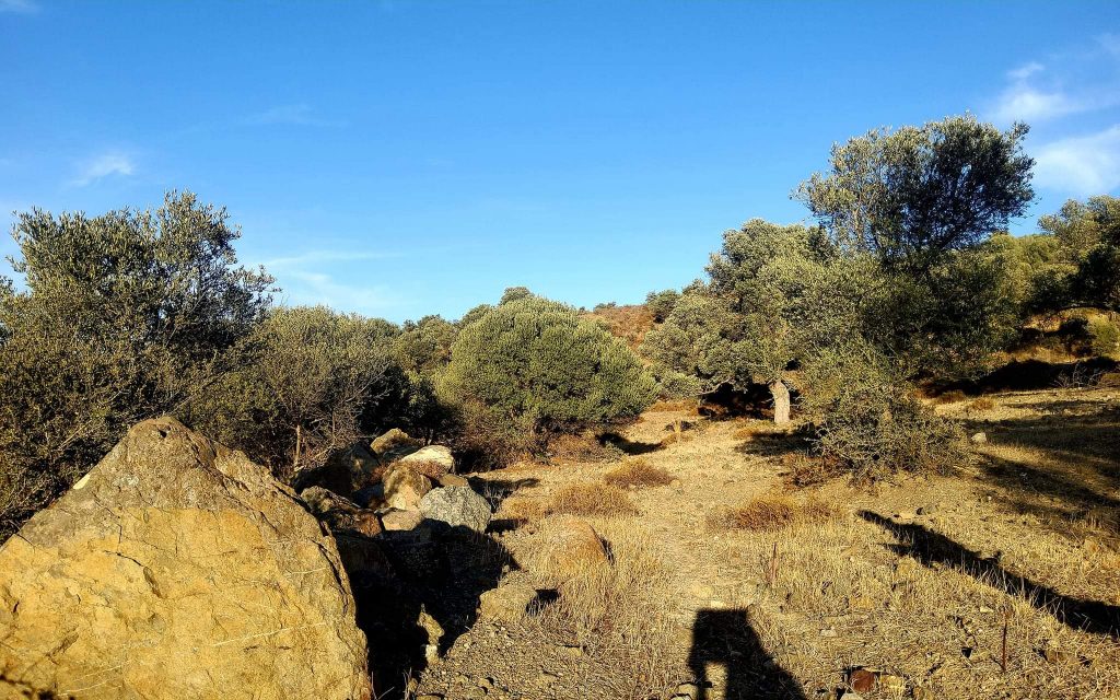 Plot for sale close to Kouses and Sivas