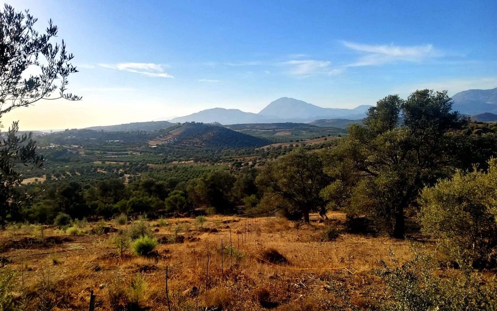 Plot for sale close to Kouses and Sivas