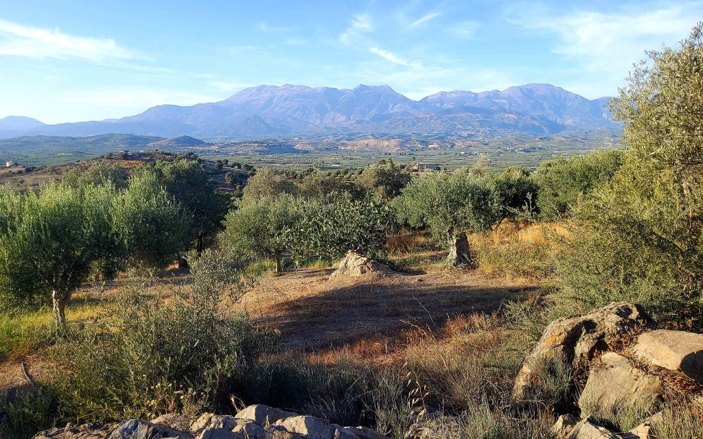 Plot for sale close to Kouses and Sivas