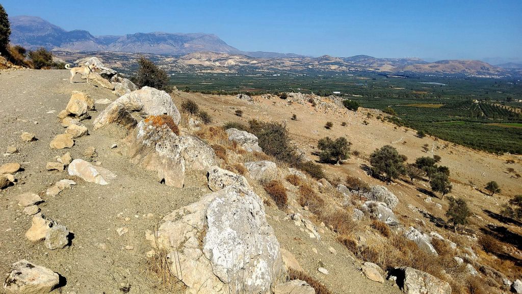 Plot for sale in Pombia South Crete