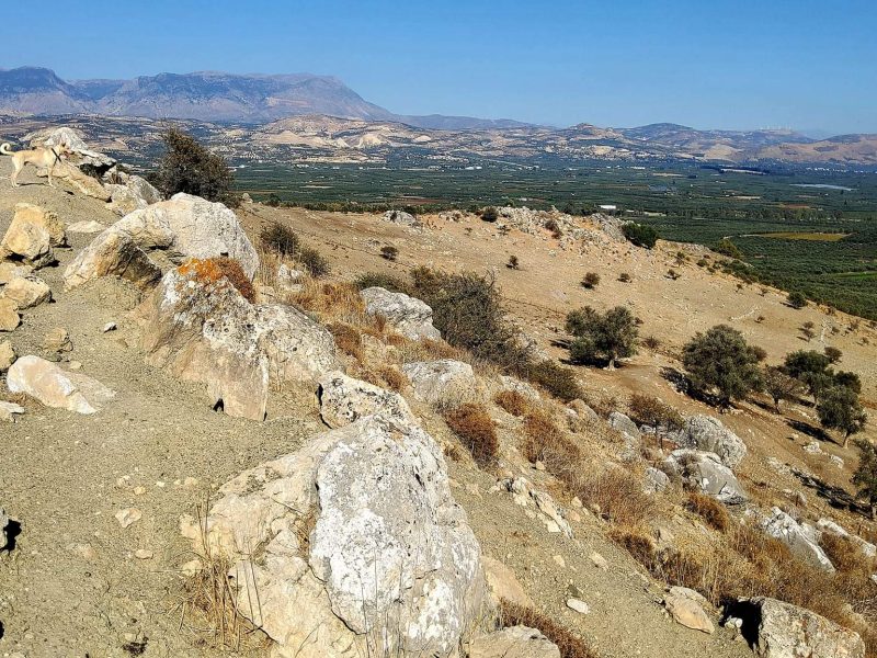 Plot for sale in Pombia South Crete