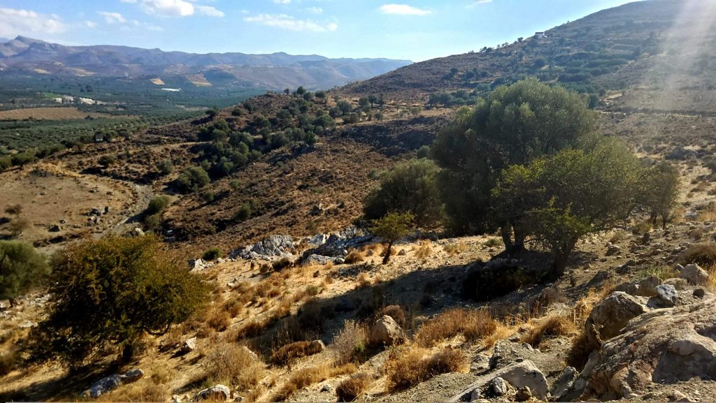 Plot for sale in Pombia South Crete