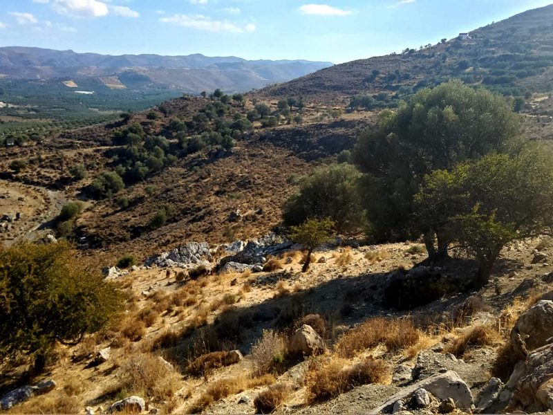 Plot for sale in Pombia South Crete