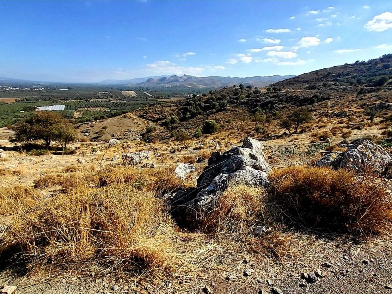 Plot for sale in Pombia South Crete