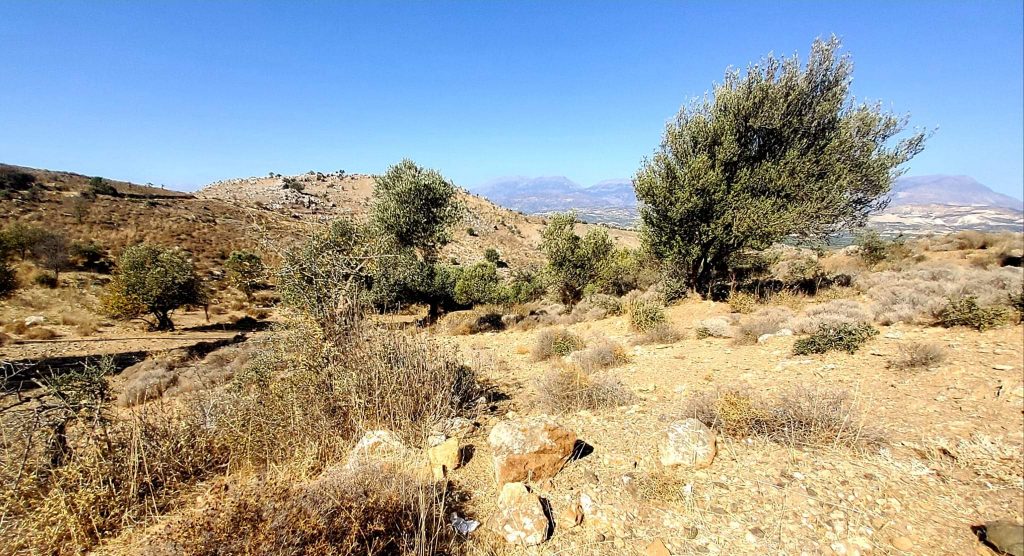 Plot for sale in Pombia South Crete