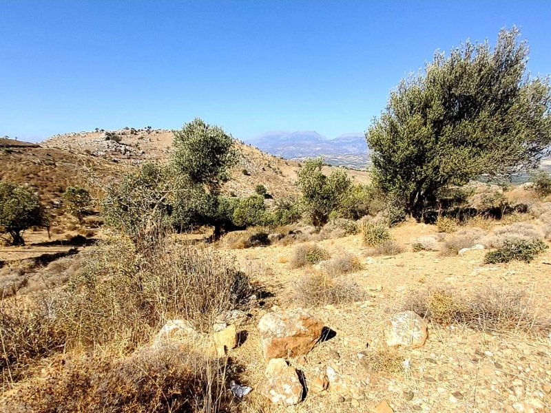 Plot for sale in Pombia South Crete