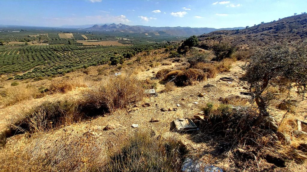 Plot for sale in Pombia South Crete