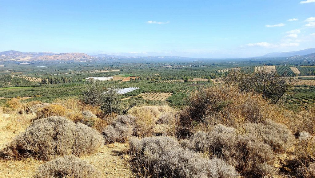 Plot for sale in Pombia South Crete