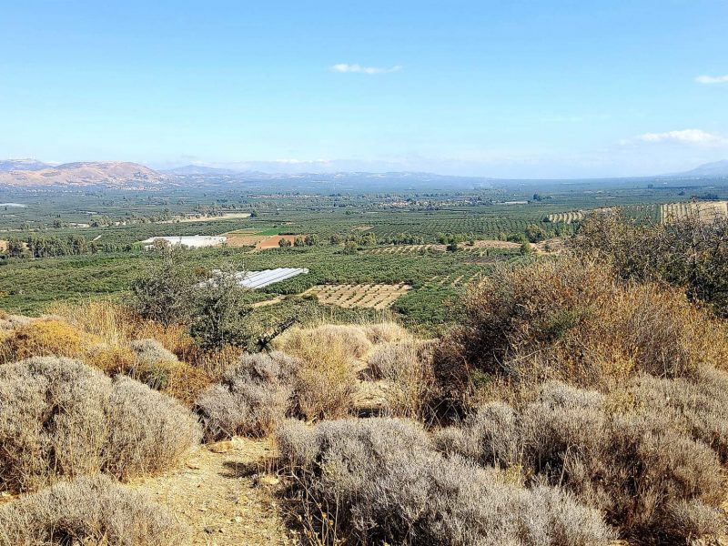 Plot for sale in Pombia South Crete