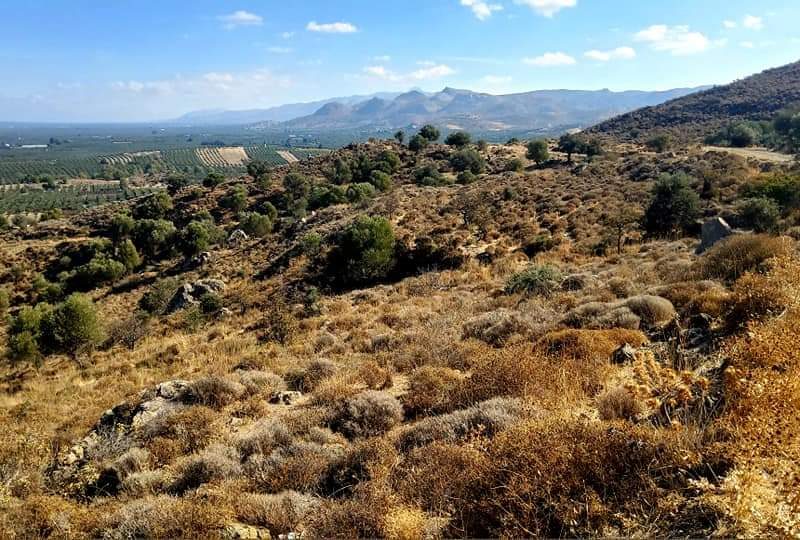 Plot for sale in Pombia South Crete