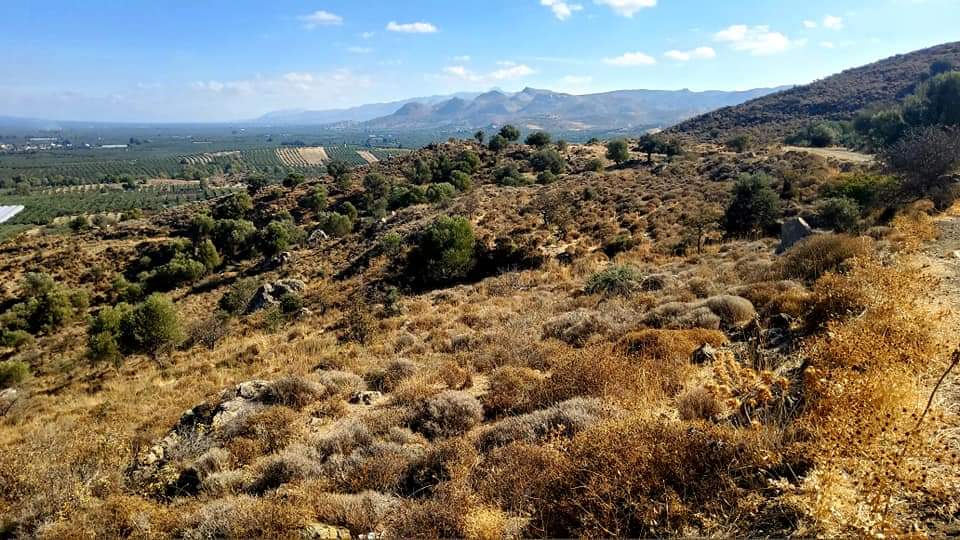 Plot for sale in Pombia South Crete