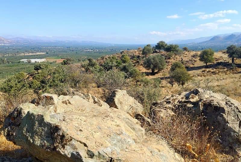 Plot for sale in Pombia South Crete