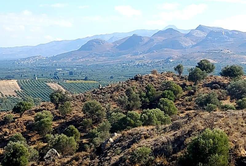 Plot for sale in Pombia South Crete