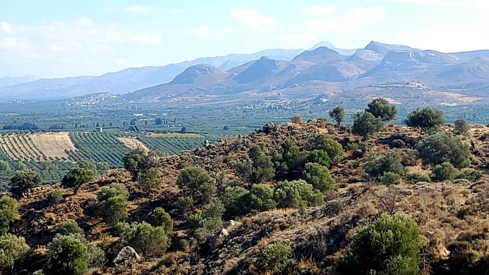 Plot for sale in Pombia South Crete