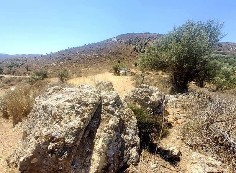 Plot for sale in Pombia South Crete