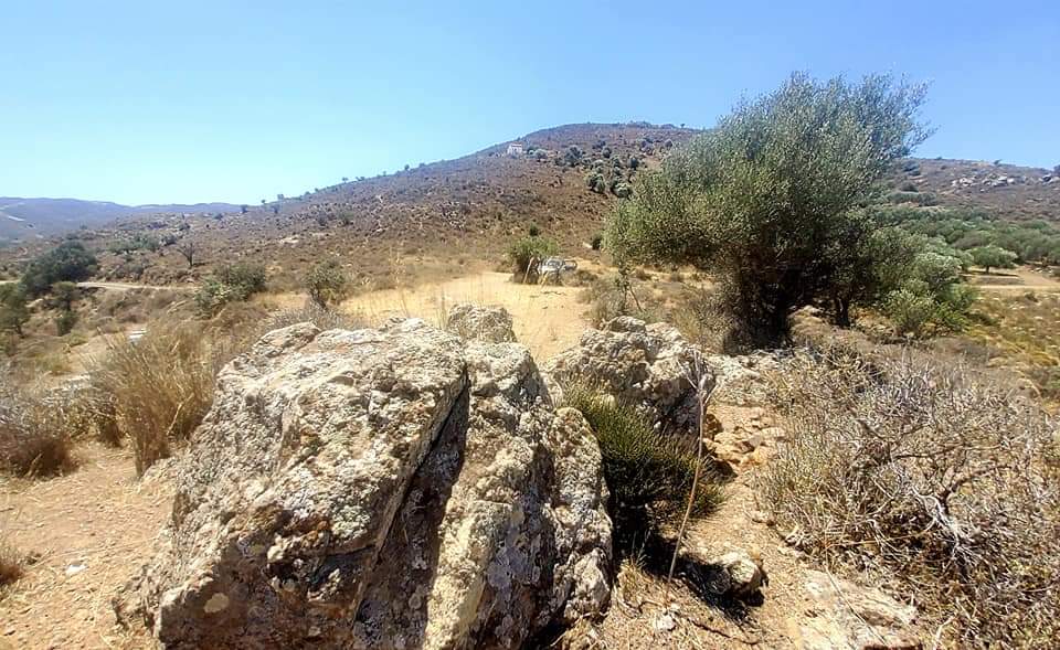 Plot for sale in Pombia South Crete